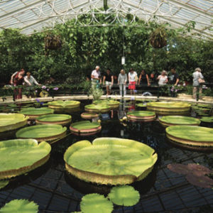 Kew Gardens