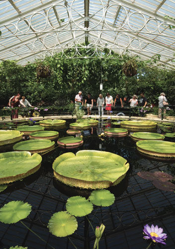 Kew Gardens