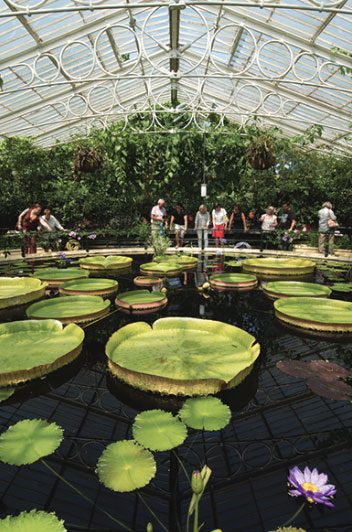 Kew Gardens