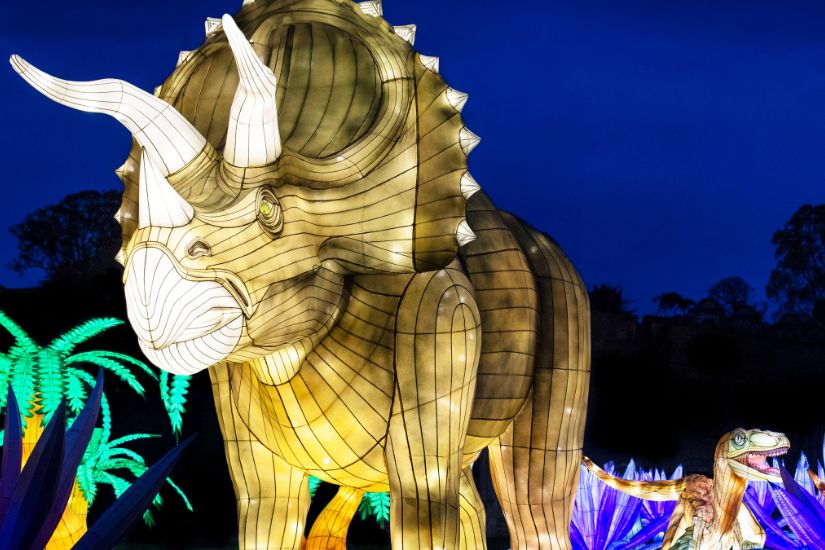 Heathside Travel Longleat Festival of Light