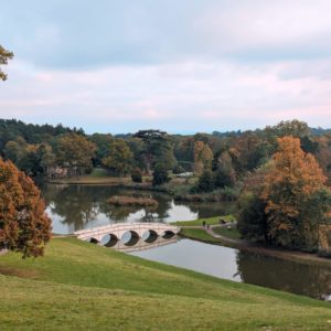 Painshill