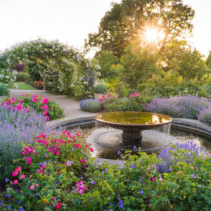 RHS Wisley Flower Show