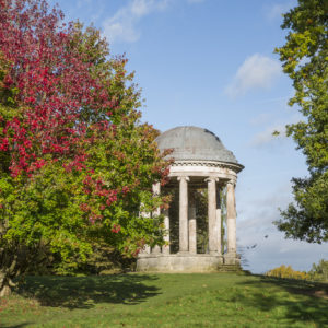 Petworth House & Woolbeding Gardens