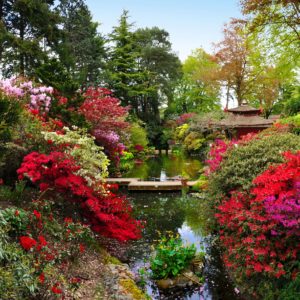 Compton Acres & Russell-Cotes Museum