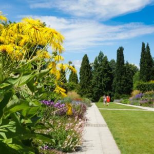 Sir Harold Hillier Gardens Tour