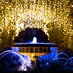 RHS Glow at Wisley
