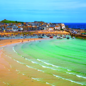 Falmouth's Flora & Coast